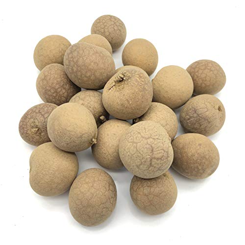 Longan Aril Fujian Specialty Dried Longan with shell 16oz 特产干货桂圓乾龙眼肉干有壳1磅
