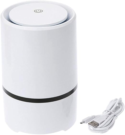 YSCCSY Mini Refrigerador Aire Ozonizador Ozono Ionizador Generador ...