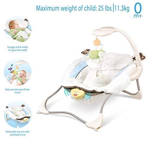 Erwazi Baby Swing and Rocker, Baby Swing Baby Rocker Baby Bouncer Chairs for Infants