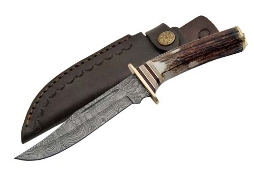 Szco Supplies Damascus El Dorado Skinning Knife