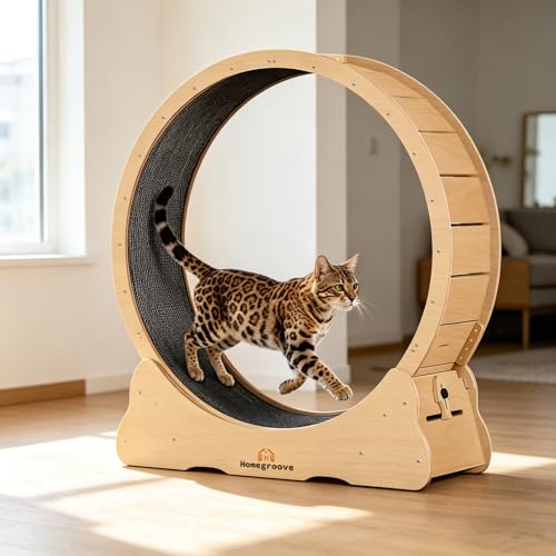 Homegroove Cat Exercise Wheel