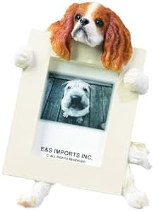 Amazon.com : Cavalier King (Brown) Charles Spaniel 2.5" x 3.5" Picture