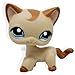 Littlest Pet Shop RARE Brown Short Hair Cat Kitty Blue Eyes LPS Toy #1024