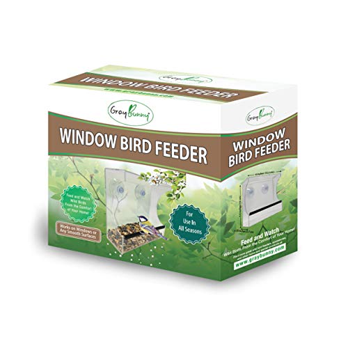 Gray Bunny GB-6895 Clear Window Bird Feeder, Compact Wild Birdfeeder with Drain Holes, Super Strong Suction Cups, Transparent Viewing, Covered, High Seed Capacity, Rubber Perch - Thumbnail 4