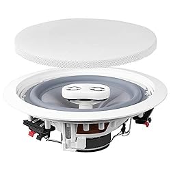 OSD Audio Weatherproof 8" in Ceiling Dual Tweeter