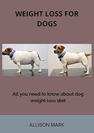dog weight loss plan