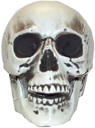 The Gothic Collection Tabletop Skull Halloween Decor, Assorted
