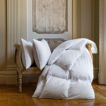 Amazon Com Cornwall Down Pillows By Sferra Standard Pillow