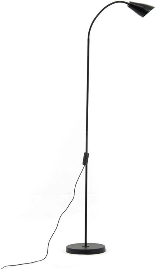 European Style 5 Feet Dimmable Warm/White LED Floor lamp Bedroom Reading Room lamp (Black)