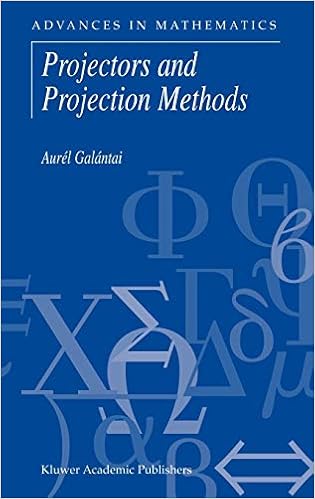 Projectors and Projection Methods (Advances in Mathematics)