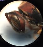 Review Image by Enarvee Storm Enarvee Storm