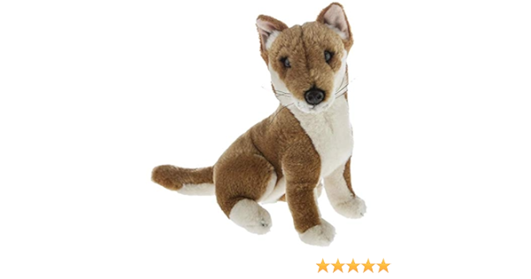 dingo plush