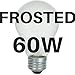A19 Frosted Incandescent Rough Service Light Bulb, 60 Watt, 2700K Soft White, E26 Medium Base, 550 Lumens, 130V (6 Pack)