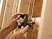 Delta R10000-UNBXHF Multichoice Universal Shower Only Valve Body (Renewed)