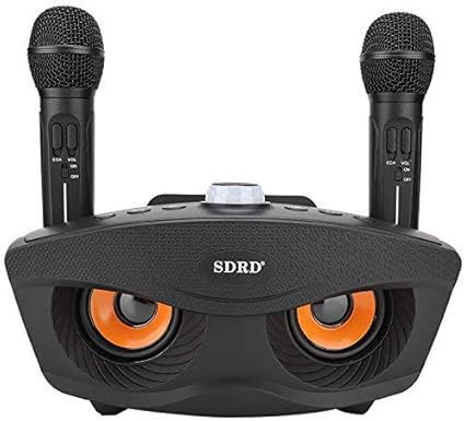 portable speaker microphone system