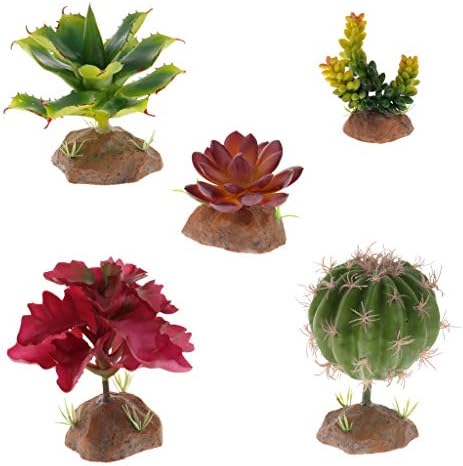 Generic 3ピース 個多肉植物樹脂ベース爬虫類テラリウムビバリウムオーナメントデコレーション B0kzdb4c 947円 大人気 New Arrival 最安値挑戦 年中無休 高品質 通販