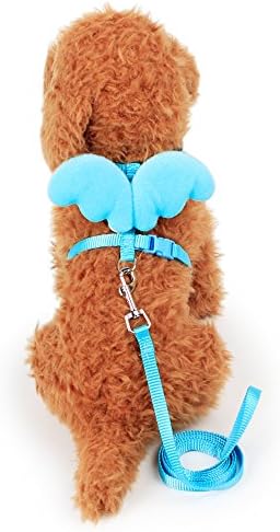 Dog Harness With Leash 4 ft Angel Wings Cat Guinea Pig Small Pet Puppy Cute Running Jogging Training Colorful Adjustable Traffic Loop( Blue, M)