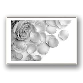 Framed Canvas Wall Art for Living Room, Bedroom Rose Flowers Canvas Prints for Modern Home Decoration Ready to Hang - 16"x24" inches