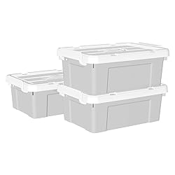 Cetomo Lidded Storage Bin with Handle, Tote