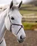 Figure 8 Noseband