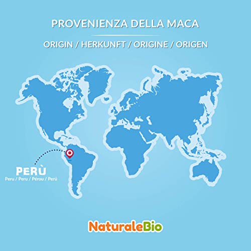 NaturaleBio Maca Pulver Bio 400g. Gelbes Wurzelpulver aus Peru. Gelatiniert, Bio und Rein. – Bild 5