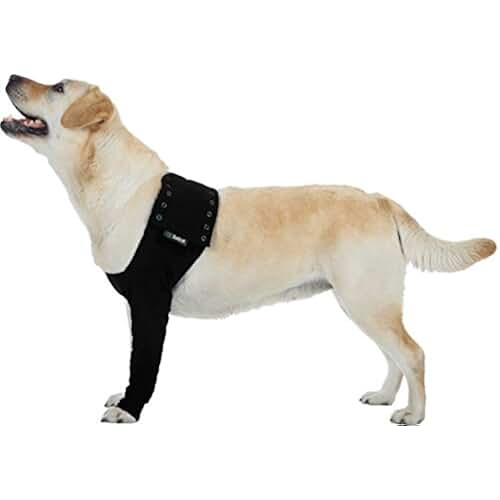 elbow protector for dogs