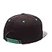 NCAA Zephyr Men's Ion Snapback Hat
