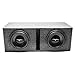 Skar Audio Dual 10