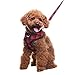 PUPTECK Dog Harness and Leash Set for Small Medium Dogs No Pull, Soft Mesh Adjustable Puppy Cat Harness Reflective at Night, Plaid Red, S