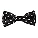 Alizeebridal Boy's Kids Polka Dot Pre-tied Bow Tie