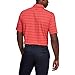 Under Armour Men's Charged Cotton Scramble Stripe Golf Polo