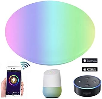 Jcwl Led Ceiling Light Dimmable Flush Mounted Light With Voice And