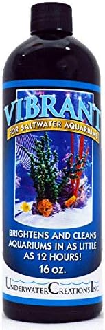 vibrant reef cleaner