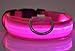 Liroyal Nylon LED Dog Night Safety Collar Flashing Light up W/circular Pendant Collar Pink