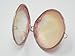 Pink Mother of Pearl Sea Shell Trinket Box Purse