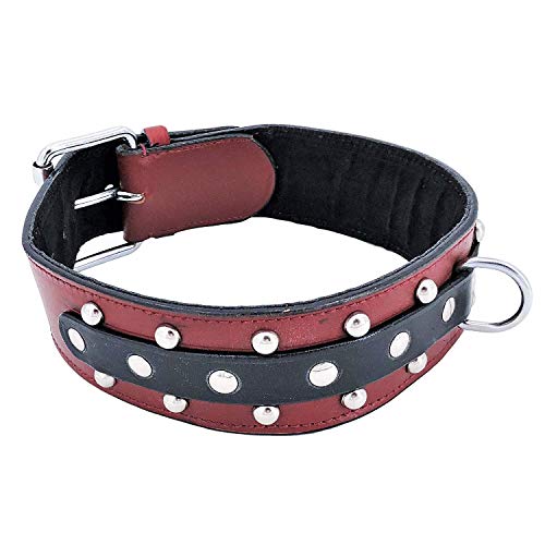 FDC Genuine Leather 2