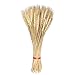 Golden Dried Wheat Sheaves 100 Stems Bundle Premium Autumn Arrangements Full Wholesale DIY Home Table Wedding Xmas Halloween Decoration