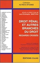Droit pénal et autres branches du droit