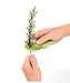 Prepara Kale and Herb Stripper