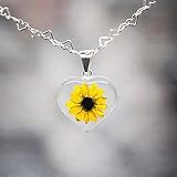 Sterling HEART Necklace with a Real Natural Miniature SUNFLOWER (Symbol of Happiness and Light) in a TRANSPARENT Background with a 17.71 inches Sterling Silver HEARTS Chain - Perfect LOVE GIFT