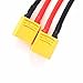 Padarsey 2 Pack XT90 to 4.0mm Banana Connector with 30cm 11.8inch 12 AWG Silicone Cable Charger Wire Lipo Battery Connect Cable for FPV RC Power Supply(12 awg 30cm)