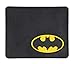 Plasticolor 001074R01 Batman Shattered Car Truck SUV Rear Seat Utility Mat