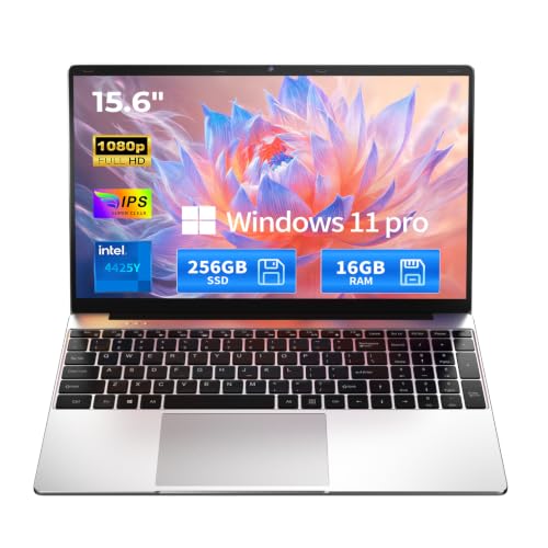 SAGAWHALE 15.6-inch Laptop