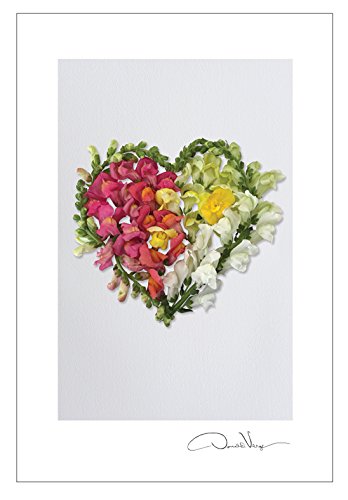 Love - Flower Heart Postcard Prints. Fathers Day. 4x6, 2 Each of 5. Heart Series. Unique Birthday, Christmas & Valentines Day Gifts. Best Quality Gifts for Men, Women & Kids. Great for Mother's Day.
