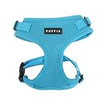 Authentic Puppia RiteFit Harness with Adjustable Neck, Sky Blue, Small