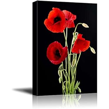 Canvas Prints Wall Art - Red Poppy Flowers Against Black Background | Modern Wall Decor/Home Decor Stretched Gallery Wraps Giclee Print & Wood Framed. Ready to Hang - 16