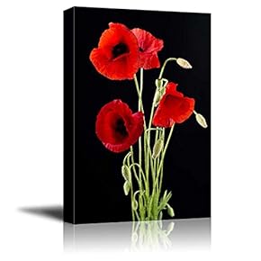 Canvas Prints Wall Art - Red Poppy Flowers Against Black Background | Modern Wall Decor/Home Art Stretched Gallery Wraps Giclee Print & Wood Framed. Ready to Hang - 12" x 18"
