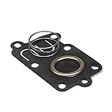 Briggs & Stratton Diaphragm Kit 5021K