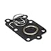 Briggs & Stratton Diaphragm Kit 5021K primary