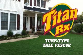 titan rx grass seed near me